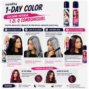 Spray colorant pentru par, fixativ, Venita, 1-Day Color, nr 06, Argintiu
