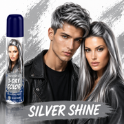 Spray colorant pentru par, fixativ, Venita, 1-Day Color, nr 06, Argintiu